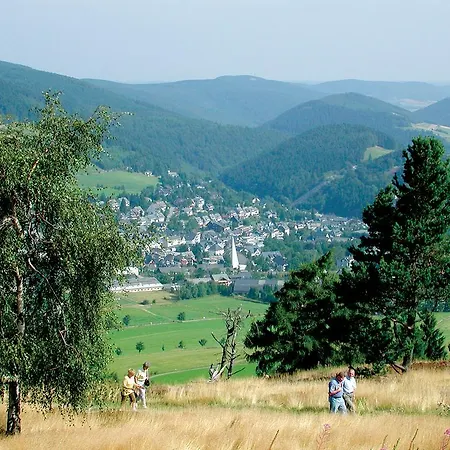Fewo Penthaus-Blick Willingen  Exterior photo
