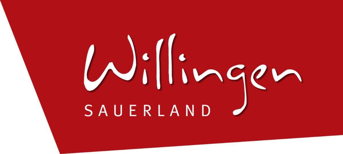 Penthaus-blick Willingen (Upland)
