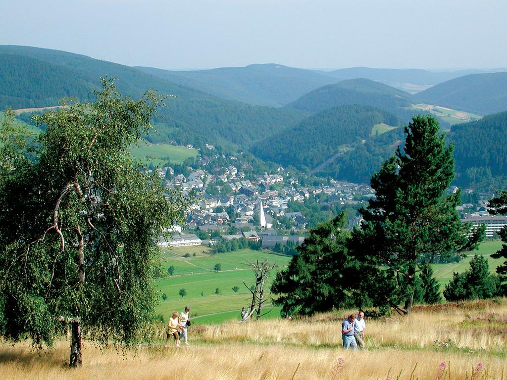 Penthaus-blick Willingen (Upland)