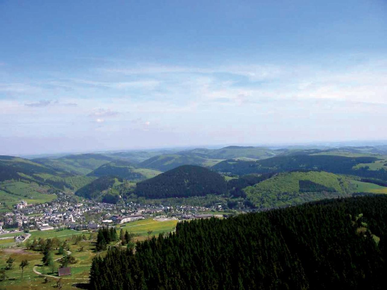 Penthaus-blick Willingen (Upland)